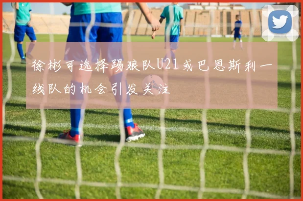 徐彬可选择踢狼队U21或巴恩斯利一线队的机会引发关注