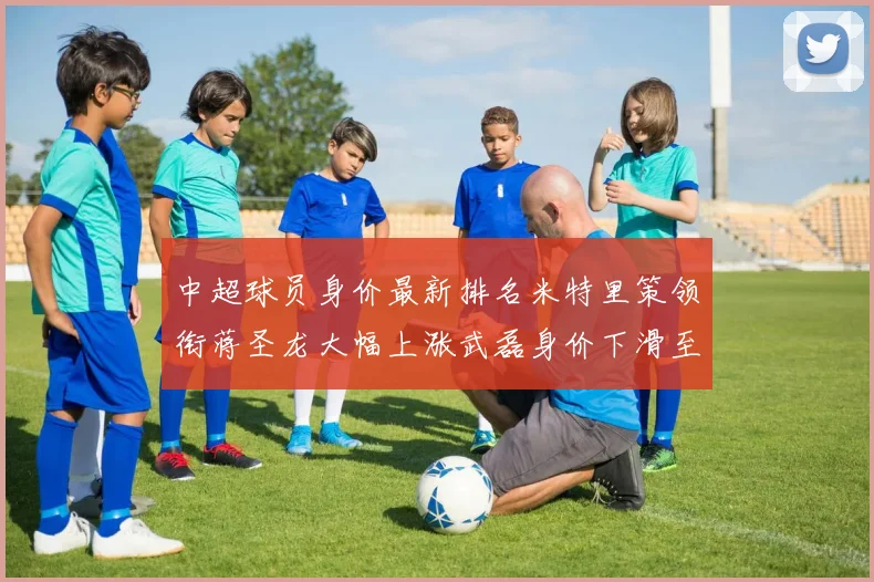 中超球员身价最新排名米特里策领衔蒋圣龙大幅上涨武磊身价下滑至50万