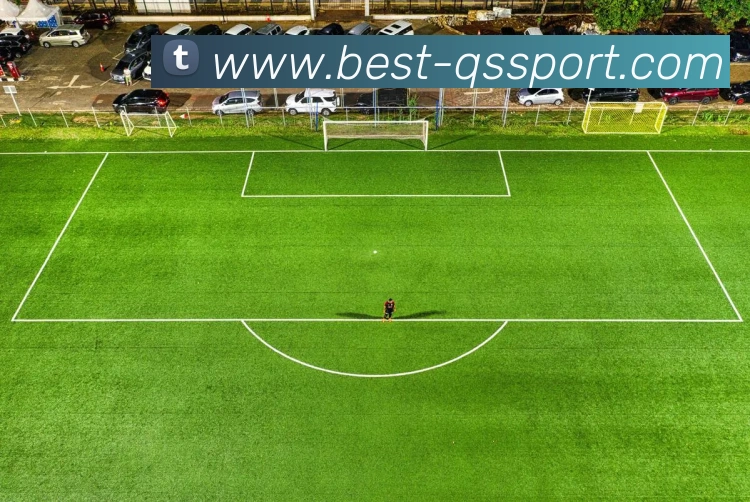 球速体育平台生态图